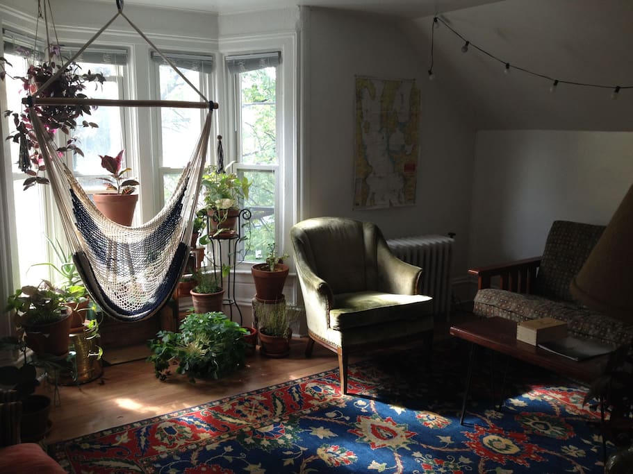 Our living room is full of plants and warm natural light. The windows overlook the street.