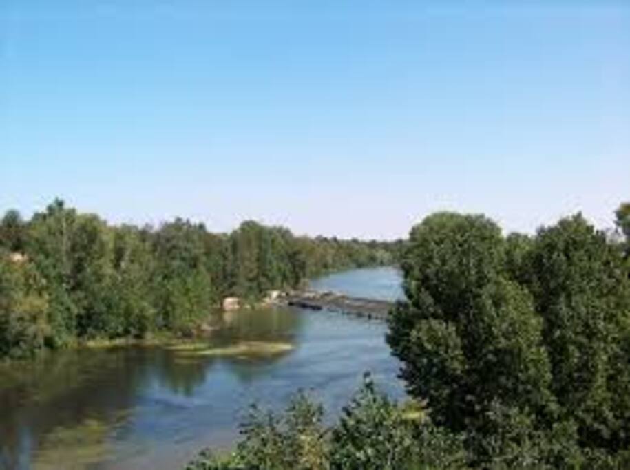 Juste en dessous du pont suspendu, aux pieds du Castela, les berges de l'Agout sont accessibles à 5 minutes.