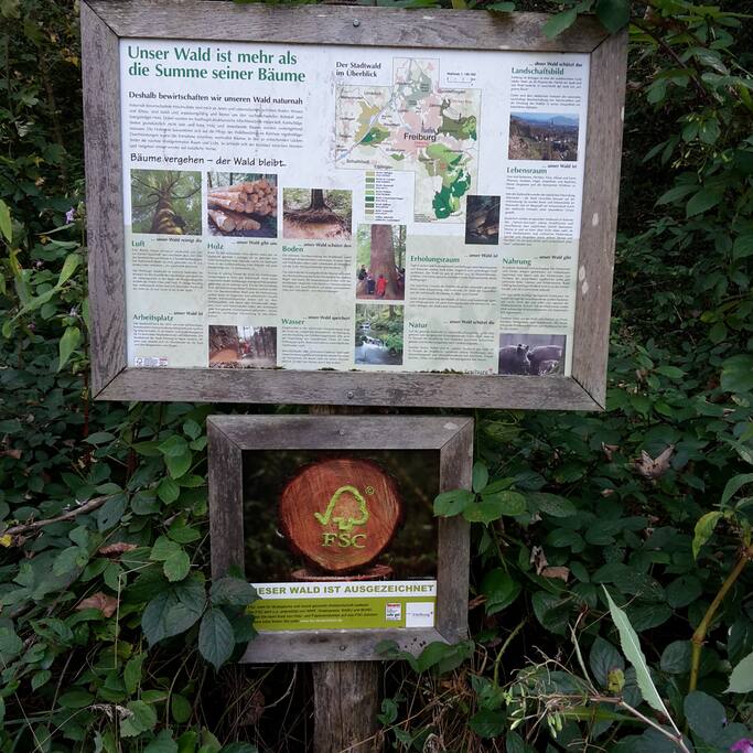 Informationstafel Mooswald