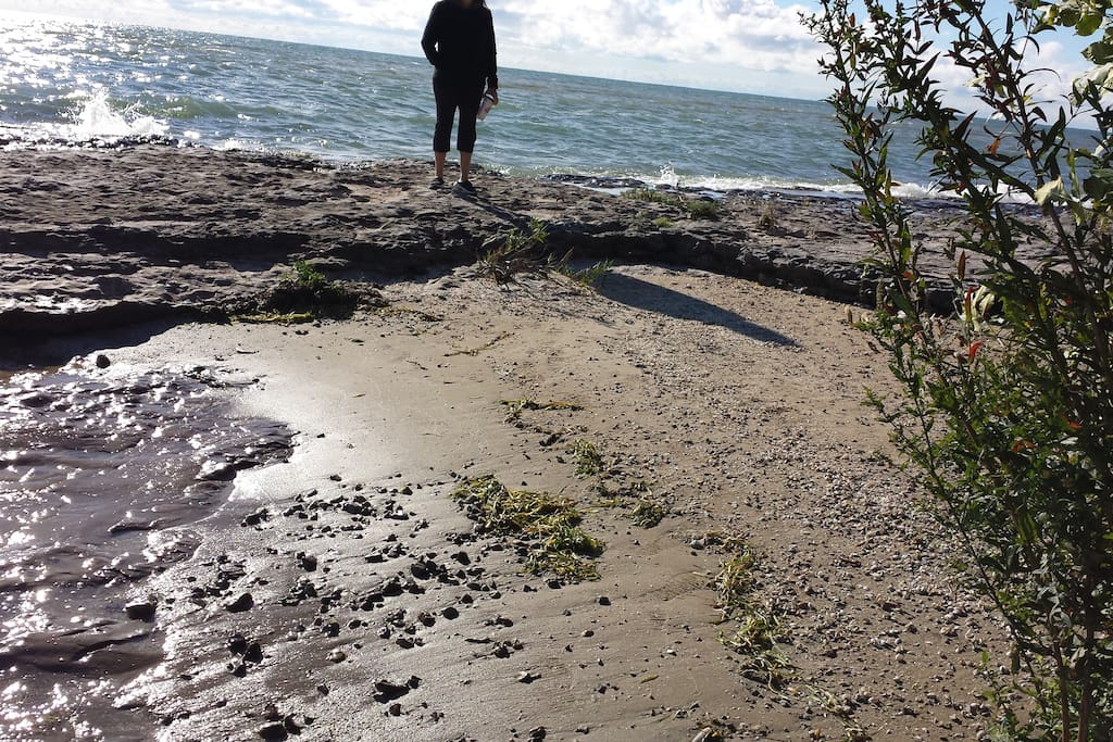 The spectacular shoreline is a combination of sand, flat rock, shells and vegetation