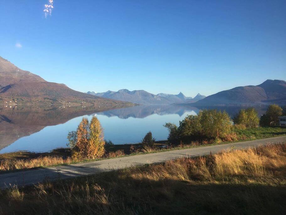 View from house, autumn colors in september. Blue sky in the morning, Northern Lights in the Night.