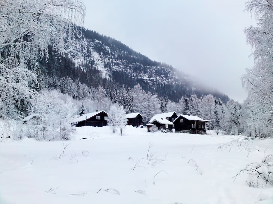 Viken Gård i vinterskrud!
