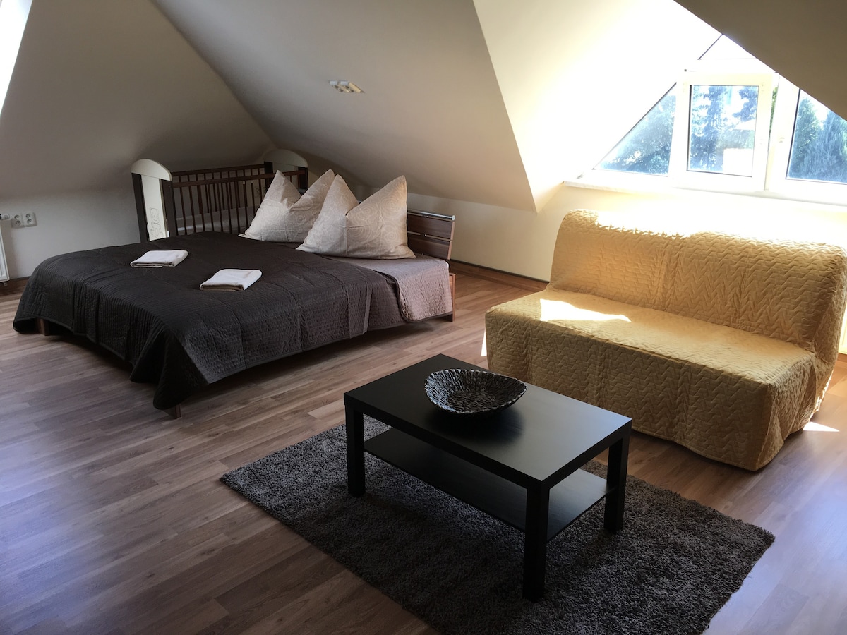 Šlapanice Vacation Rentals & Homes - South Moravian Region, Czechia | Airbnb