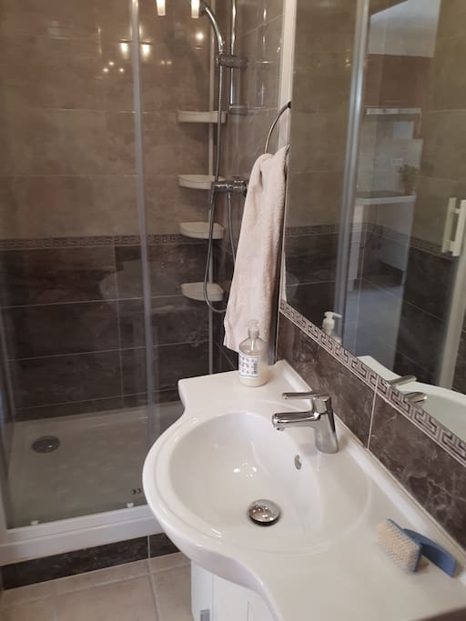 salle de douche et lavabo