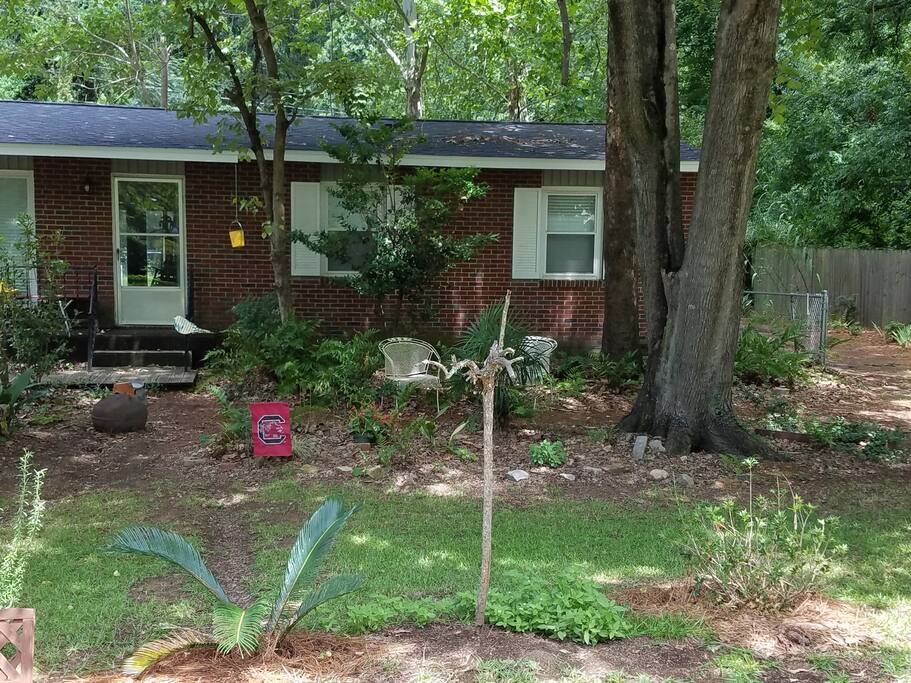 Front yard