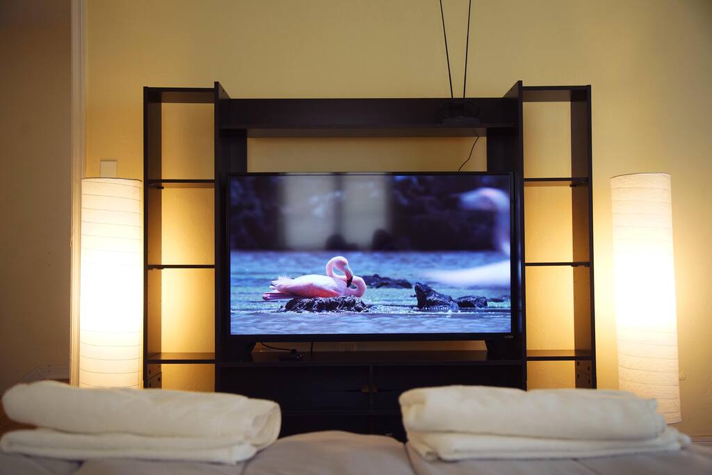 50 inch 4k tv with internet