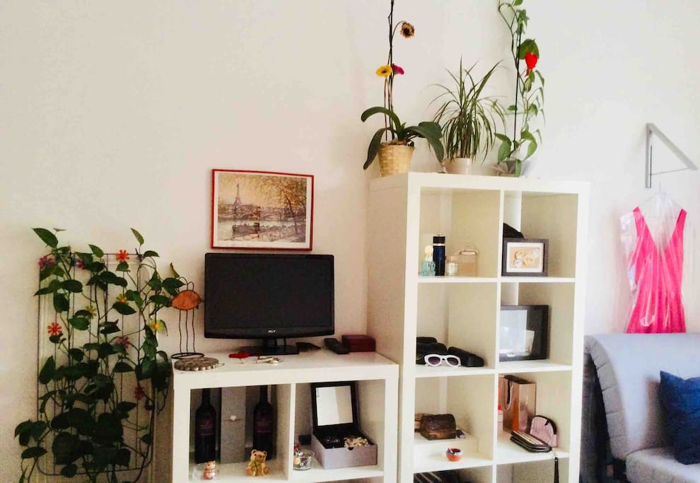 Tv and one single couch that can be transformed in bed