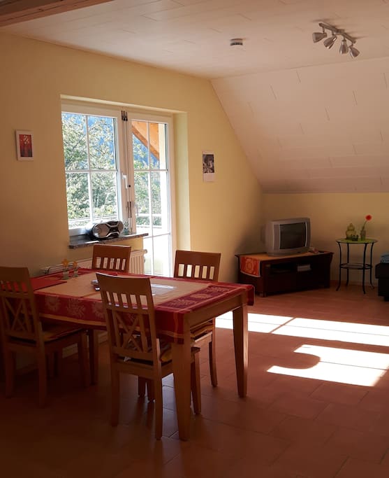 Ein großes gemütliches Wohnzimmer mit TV, Schlafcouch und Essbereich.