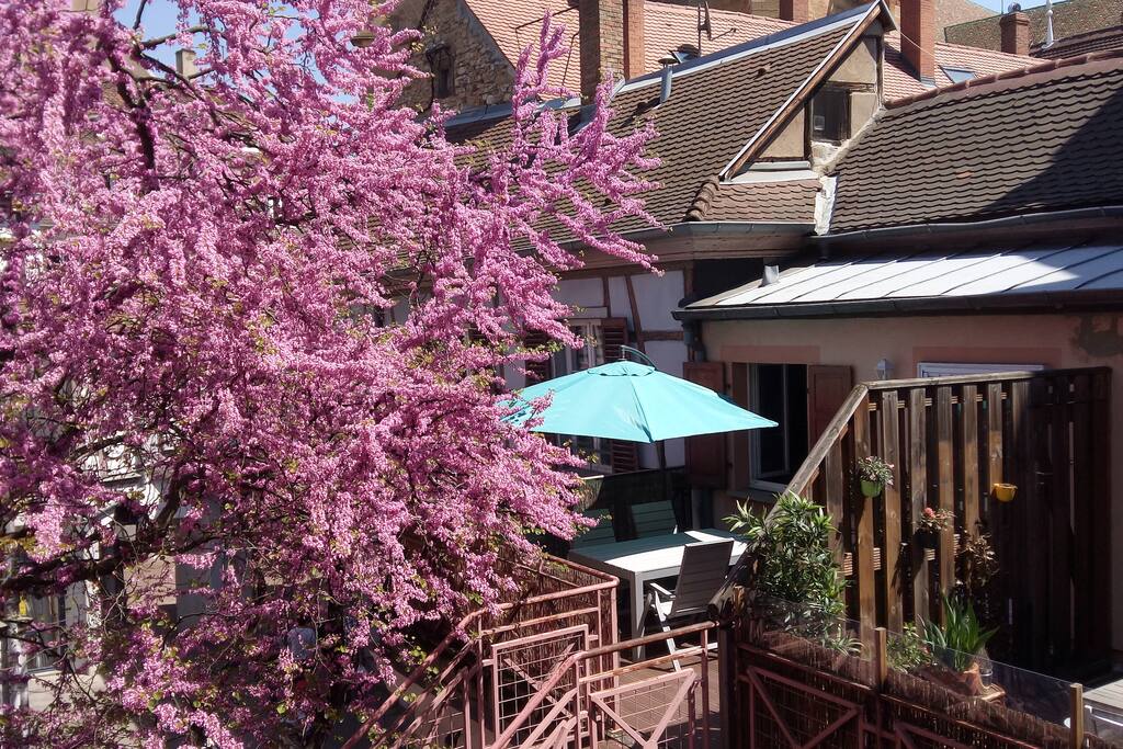 La terrasse privative avec vue sur la Cathédrale
