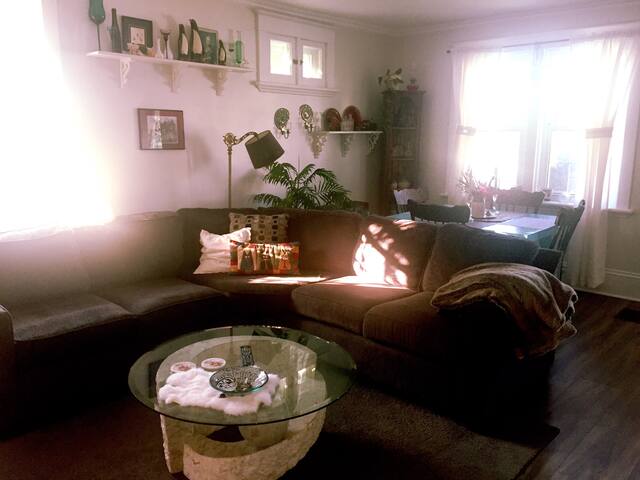 King Studio with kitchen use. Better then hotel!