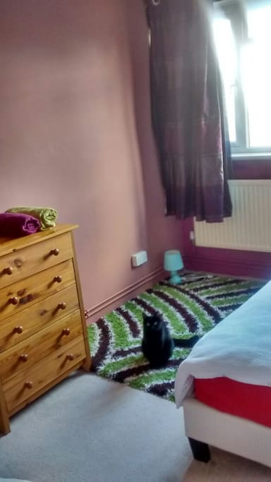 Your room