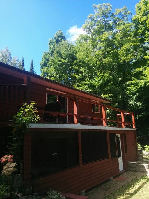 Serene Cottage on Drag River Cottages for Rent in Minden Hills