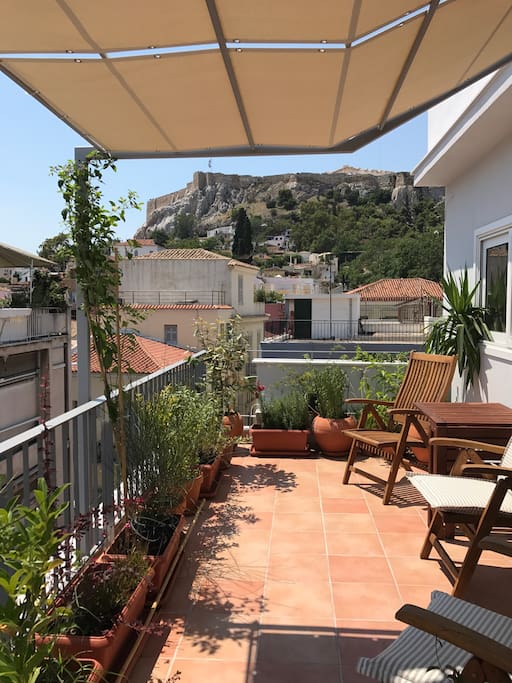 The terrace is spacious, private, full of plants and has a stunning view!