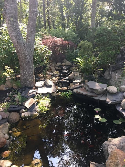 Koi Pond in Front Driveway