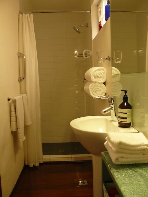 Bathroom view 1