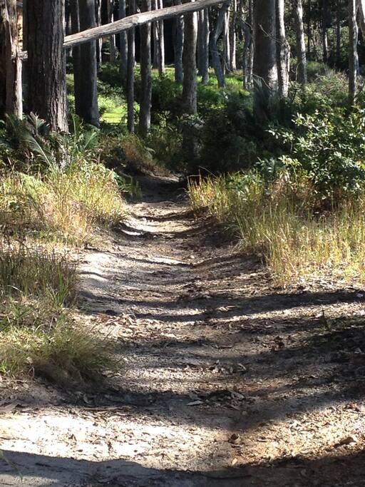 This is the path to the secluded beach - about 100 steps along a reserve