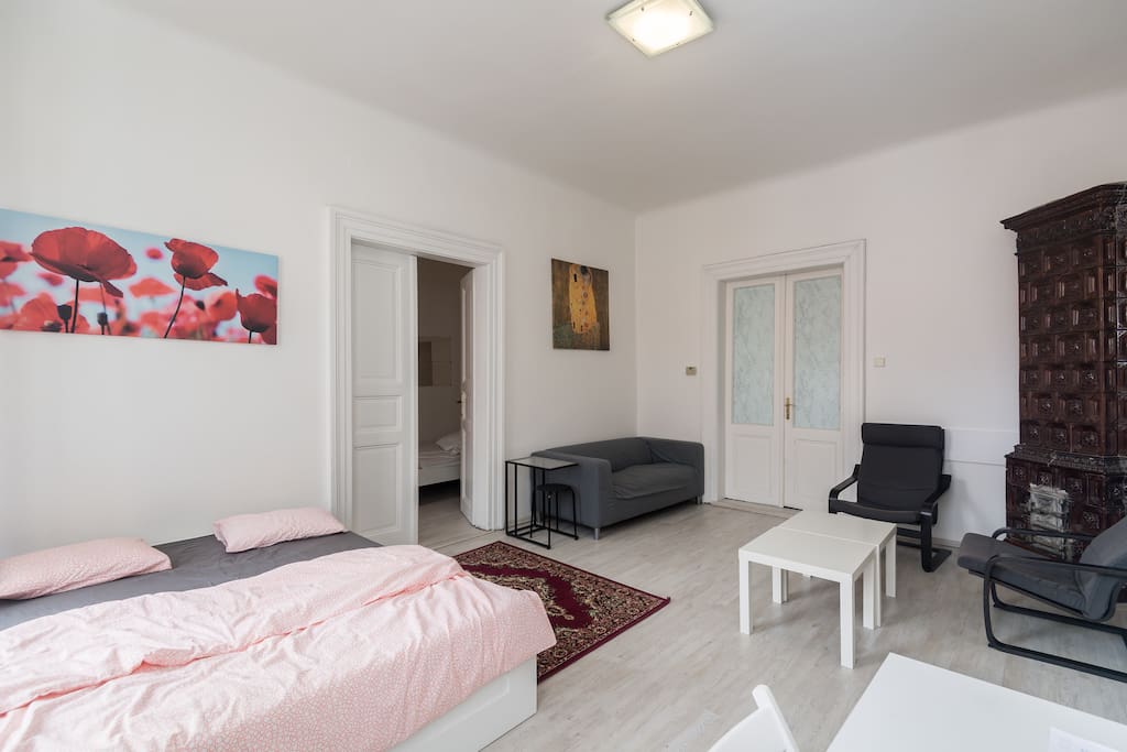 large 3 bedroom apartment boasts nice views from the windows and very spacious rooms in the very center of Prague