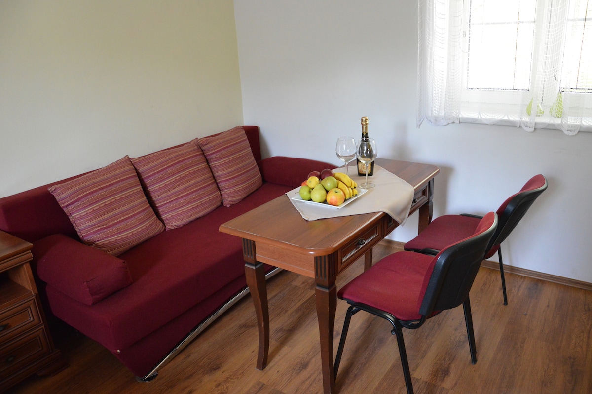 A red sofa with cozy cushions is paired with a wooden dining table. A basket of assorted fruits and a bottle of sparkling wine sit on the table, with two chairs positioned nearby. Natural light enters through a window, adding brightness to the space.