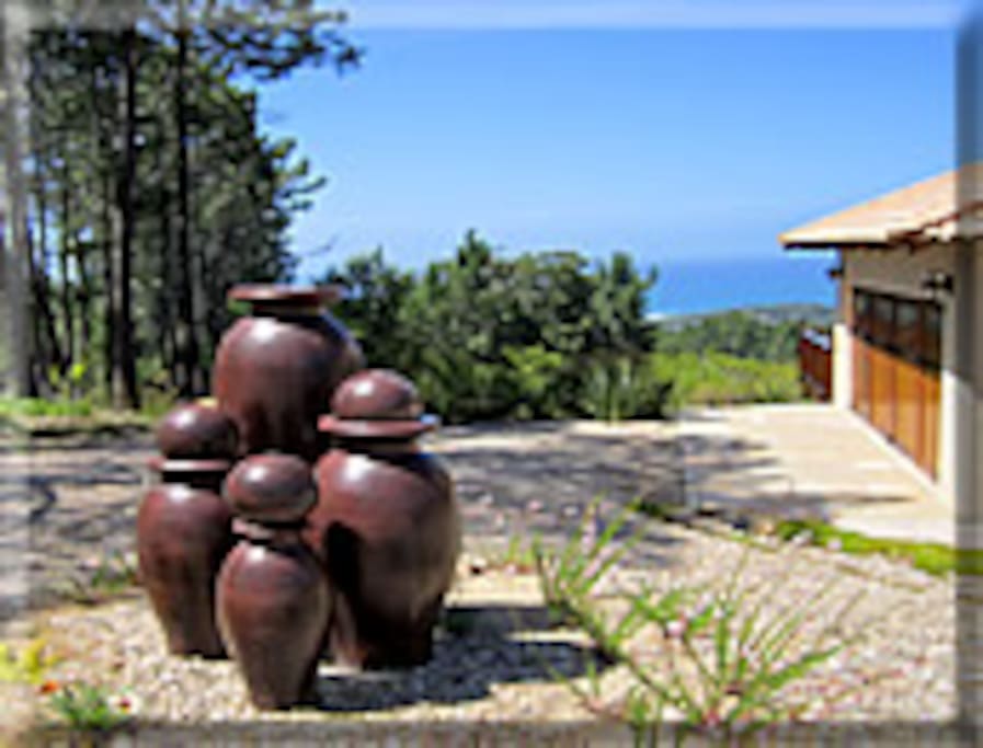 Part of the garden
