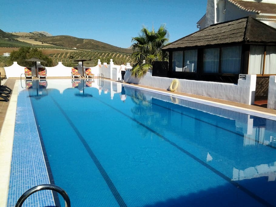 pool view