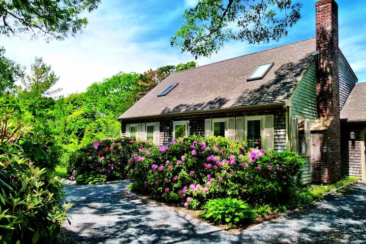 Huge, bright, private room + access to house, etc