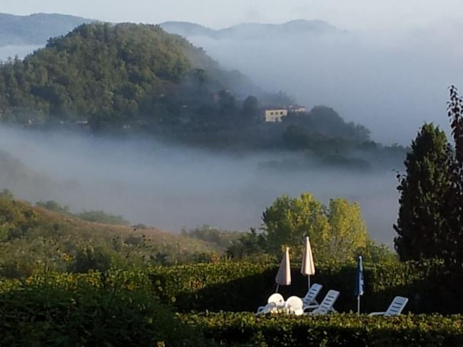 Fattoria L'Ottavo in ottobre
in october early in the morning
