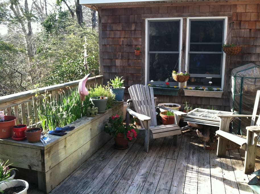 the deck