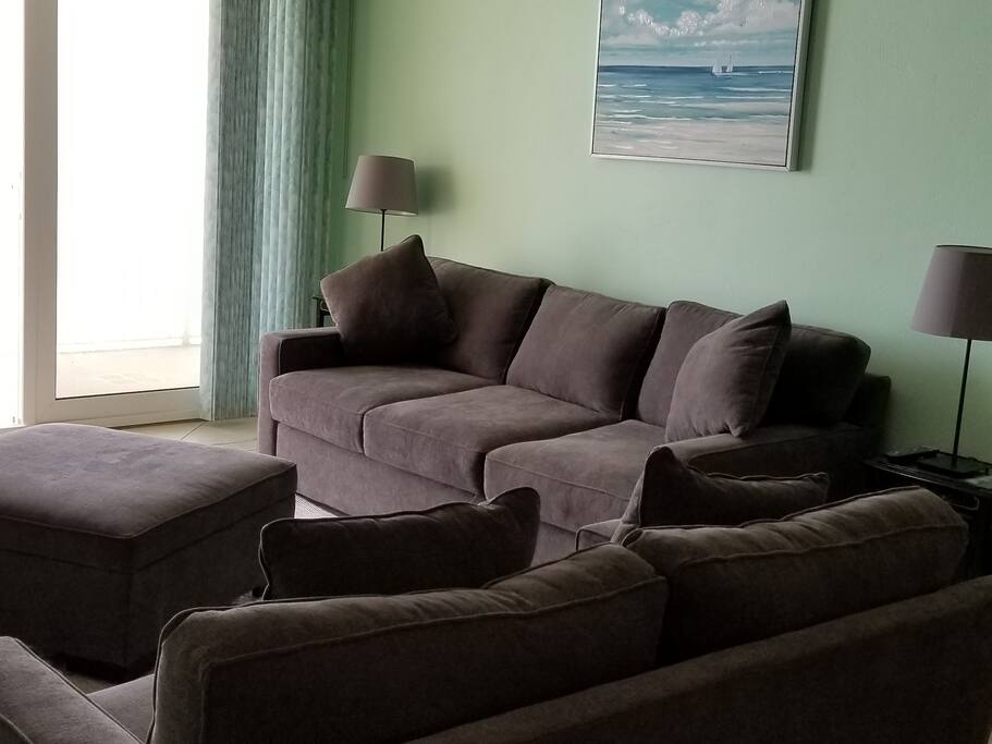 Living Room with new sofa sets