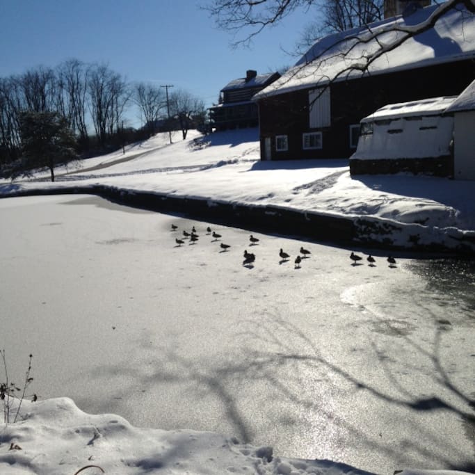 Duck pond on property. Fishing good.