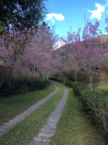 Eco hospedagem em Nova Friburgo