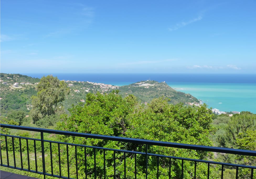 view