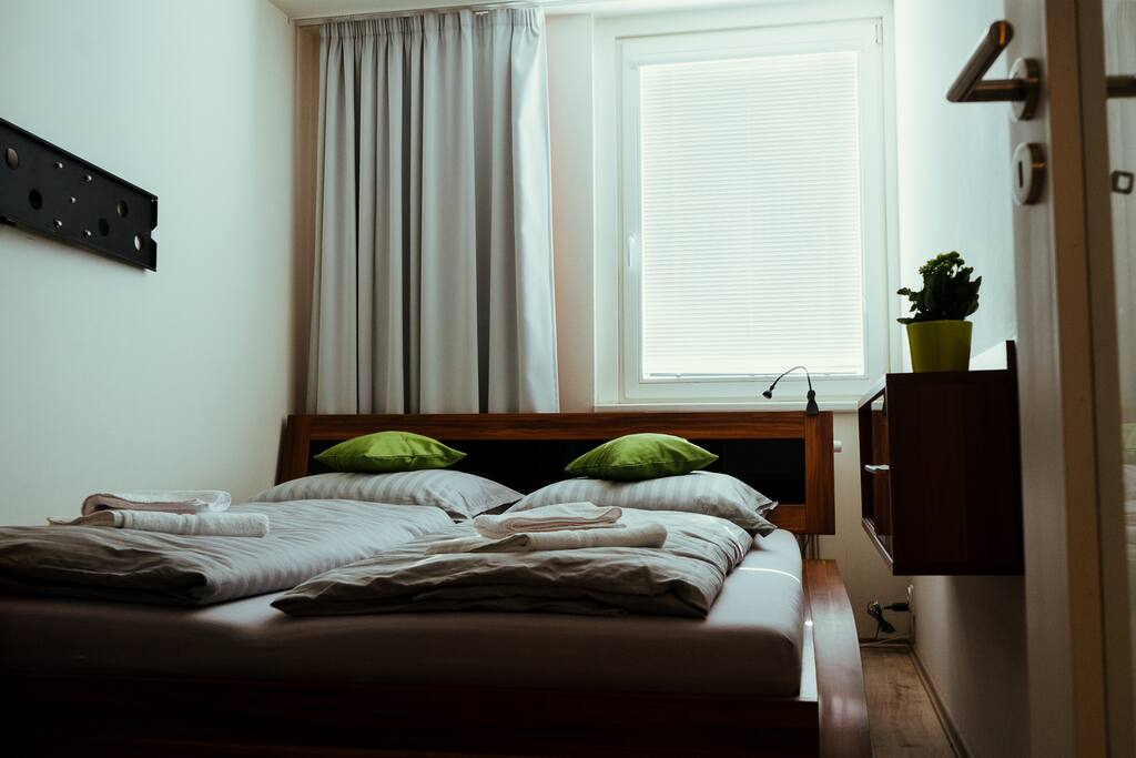 Fresh sleeping in green bedroom