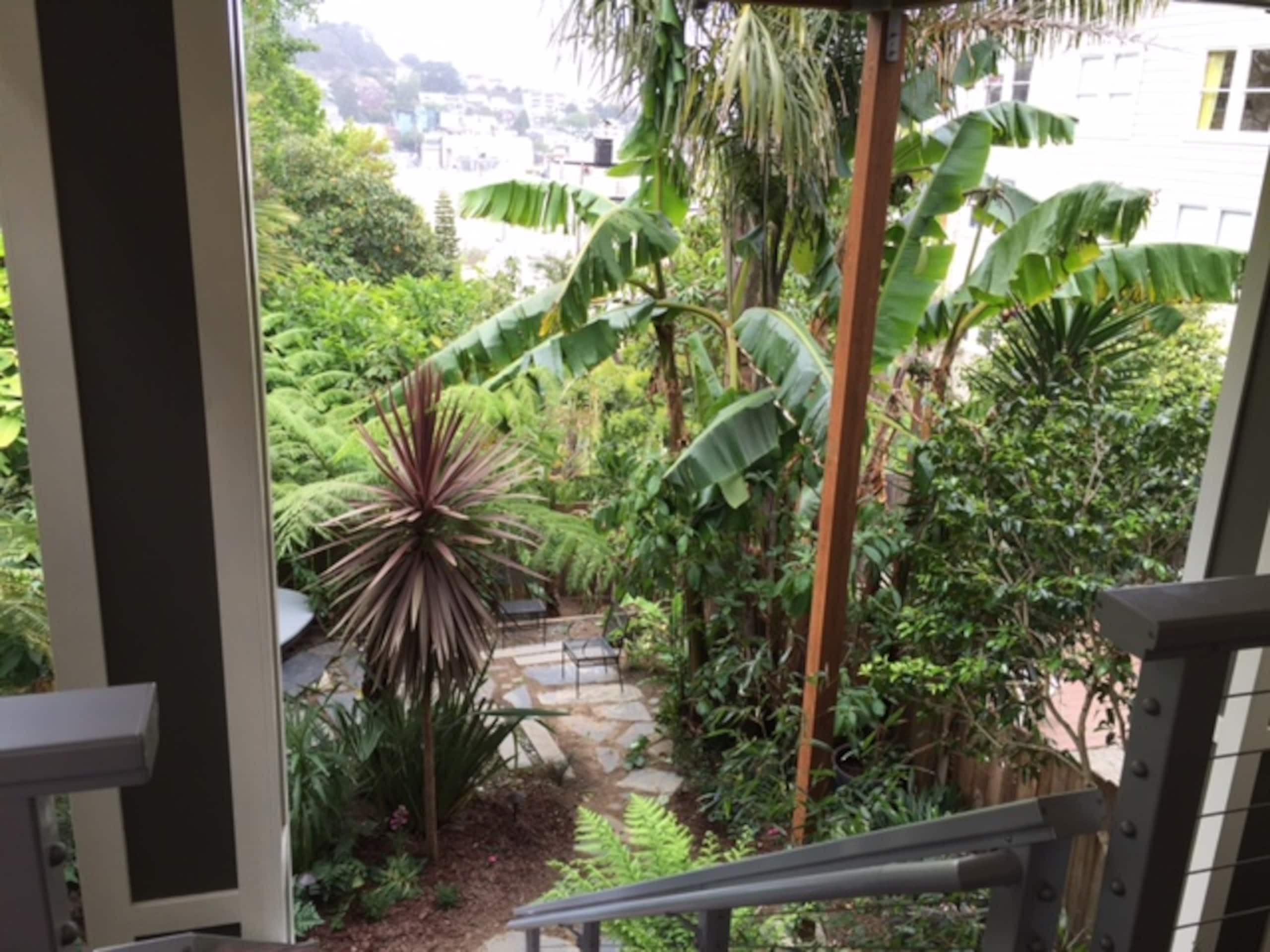 Home in San Francisco · ★4.98 · 1 bedroom · 1 bed · 1 bath - Image 12