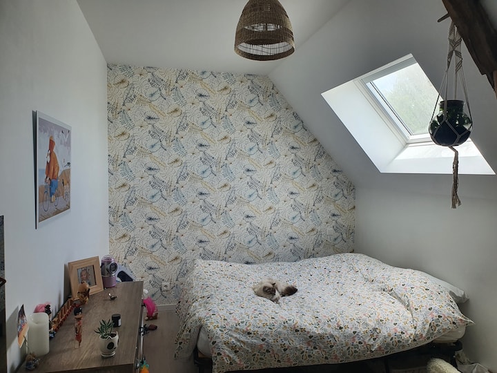 Habitación Manon 14m2 
Cama doble 
160x200
Velux con mando a distancia 
Orientación norte