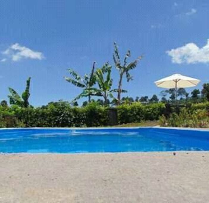 piscina