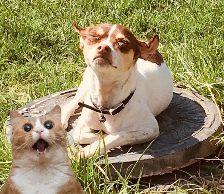 Max looks like he’s scared but really shocked that Nan does not have a bathing suit or sunglasses on