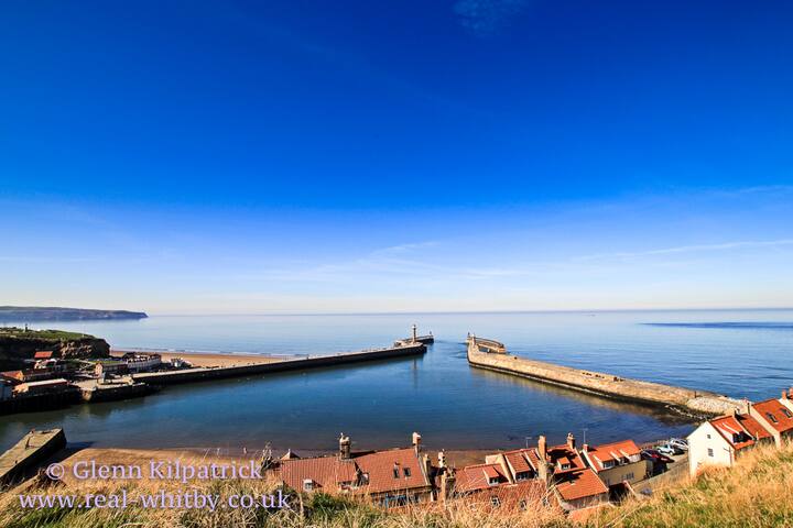 Award Winning Pet Friendly Paddock Cottage Houses For Rent In