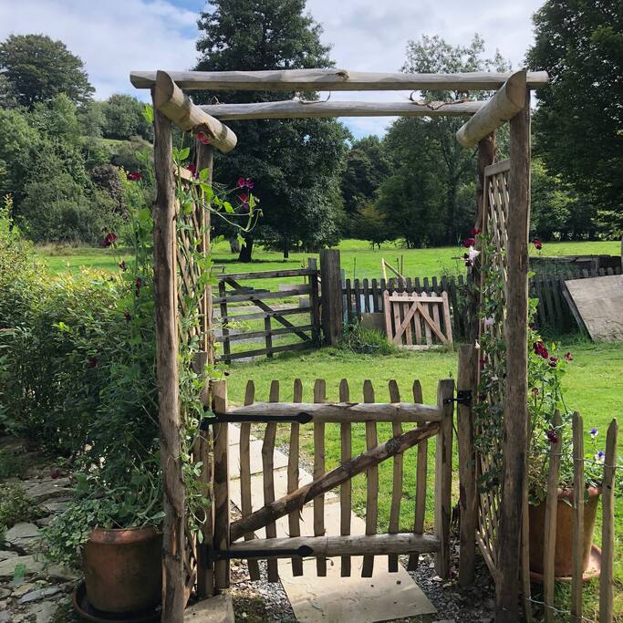 Your own paddock to exercise the dog!