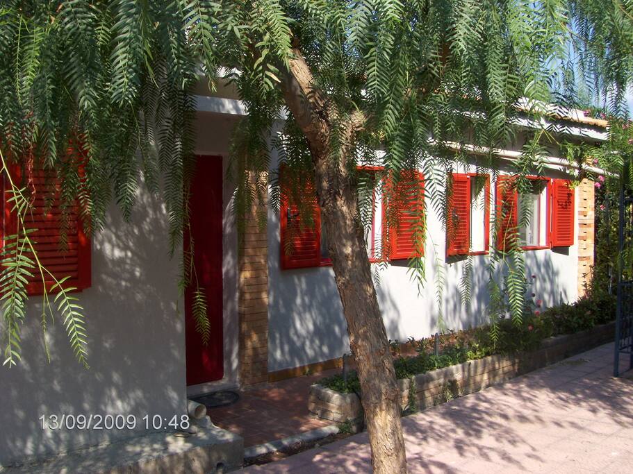 ingresso