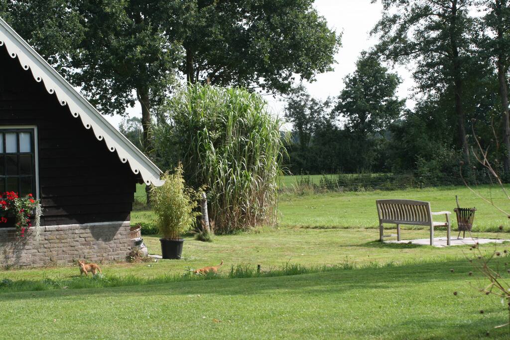 Genieten van uitzicht en s'avonds een brandende vuurkorf