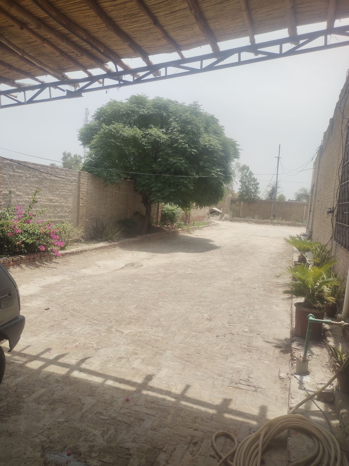 A gravel pathway is bordered by flowering plants and a large tree, providing a shaded area. A vehicle is parked nearby, while distant power lines and a clear sky complete the serene outdoor scene.