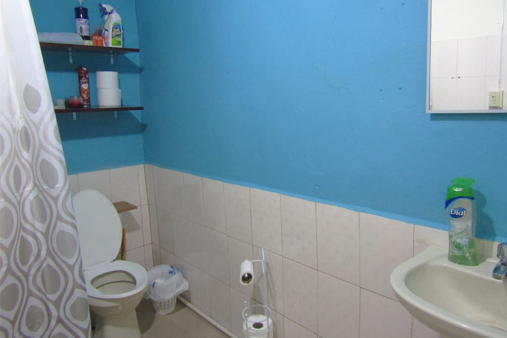 Shared bathroom