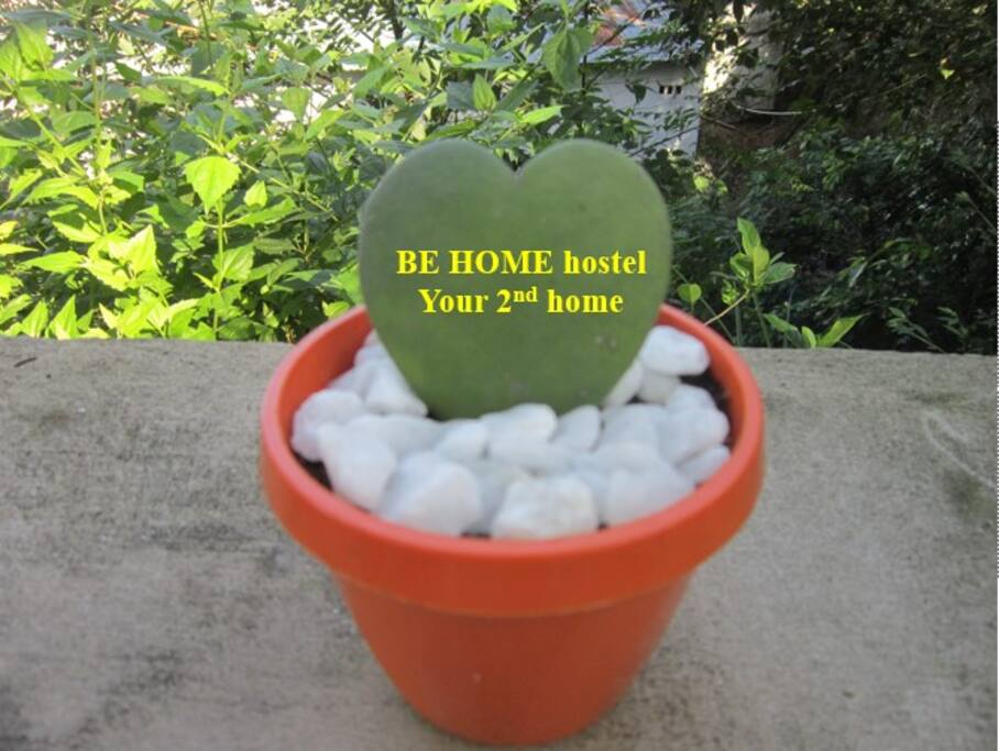 Welcome guests to Be Home