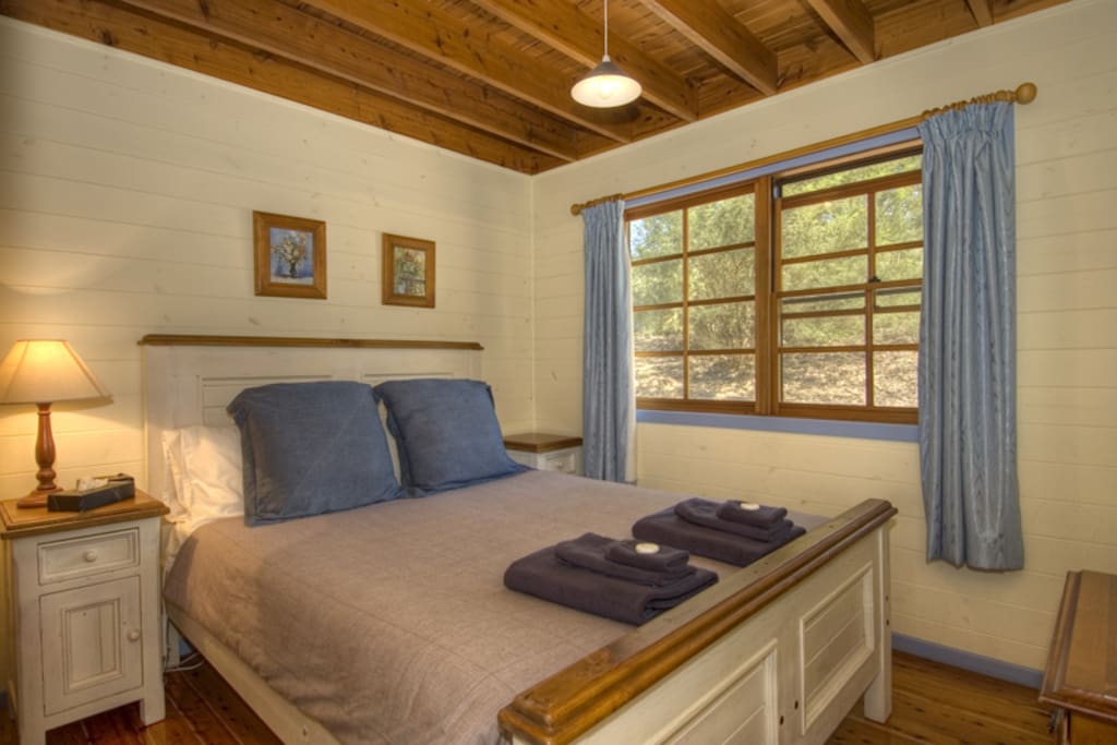 Downstairs Queen Bedroom #1