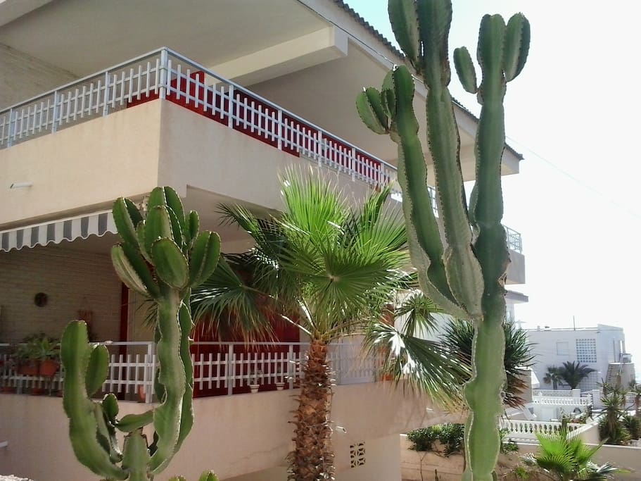 Terraza de 80 m2.
