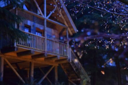 the legendary wildwood cabins ~ CABIN 2