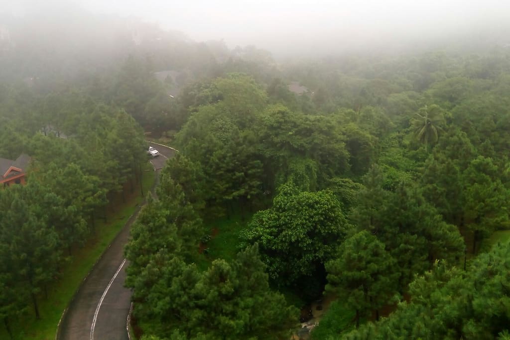 The view from the balcony on a foggy day.
