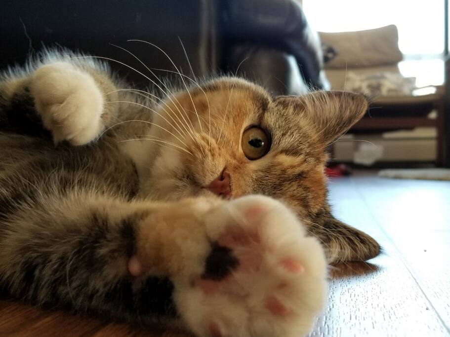 Hanna!