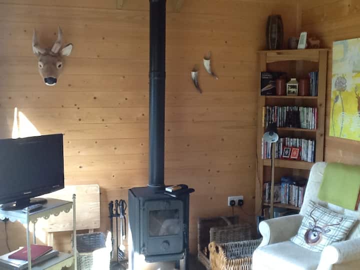 Cosy Log Cabin Guesthouses for Rent in Llangain, Carmarthenshire