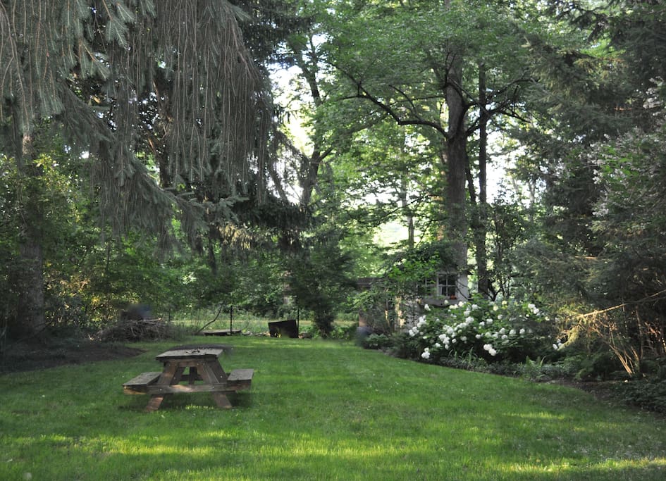 Back garden